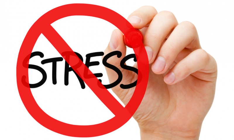5 motivos fisiológicos para aliviar o estresse